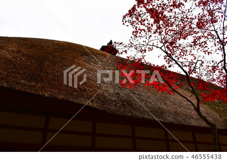 Horakuji寺秋天風景Ueda市 Horakuji寺秋天風景Ueda市 46555438