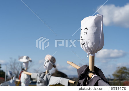 A scarecrow 46555678