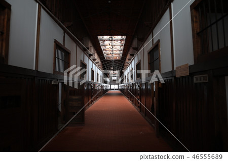 北海道，冬天 46555689