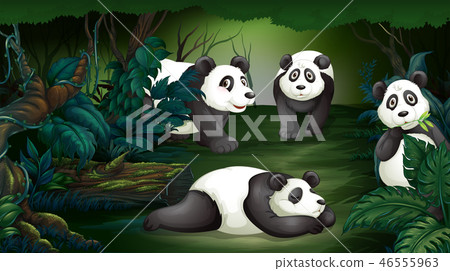 Panda in dark forest 46555963