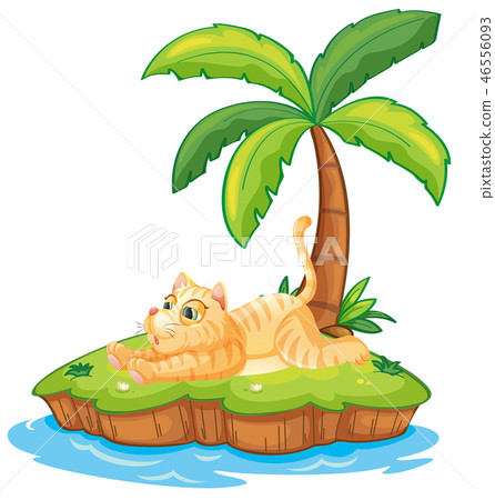 Lazy cat on the isolated island Lazy cat on the isolated island 46556093