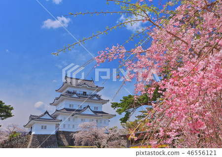 [神奈川縣]小田原城堡城堡塔在晴朗的天氣下 46556121