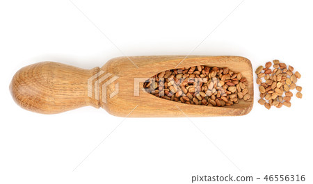 Fenugreek seeds in wooden scoop isolated on white background top view Fenugreek seeds in wooden scoop isolated on white background top view 46556316