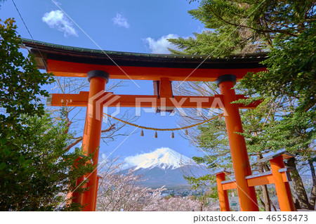 Mount Fuji _No 1 from Shin Kurayama Asama Park Mount Fuji _No 1 from Shin Kurayama Asama Park 46558473
