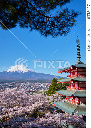 Mt. Fuji from Shin-Kurayama Asama Park _No 19 46558497