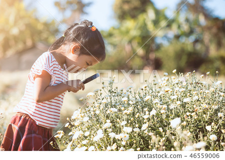 asian child girl looking flower through a magnify 46559006