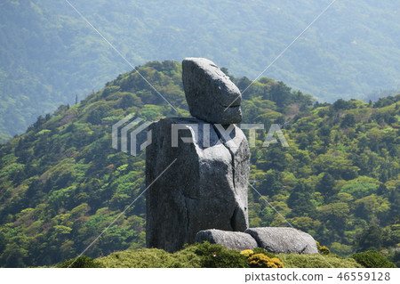 通往屋久島Miyanoura Takeyama花崗岩機器人石頭的道路 46559128