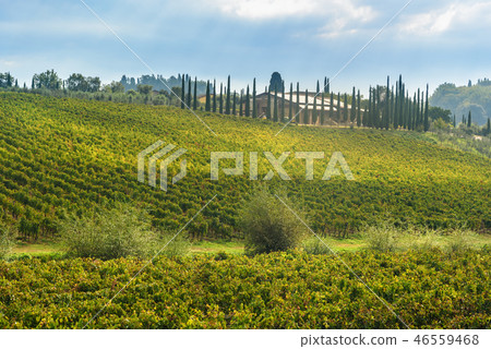 Landscape in Chianti region in province of Siena. 46559468