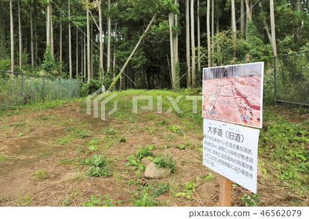 Nanao Castle 46562079