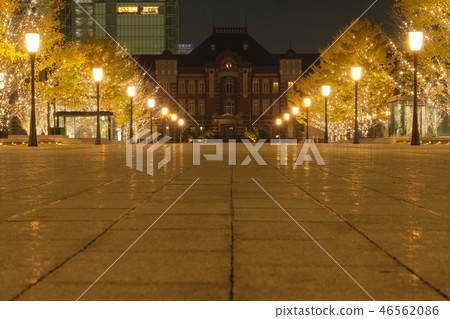  Tokyo Station 46562086