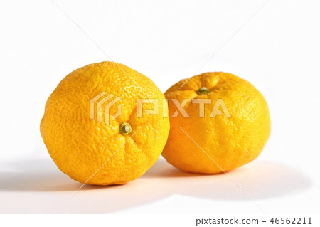 柚子（柚子） 46562211