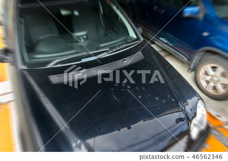 貓的腳印 46562346