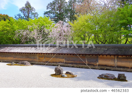Stone garden of Ryoanji (spring) 46562383