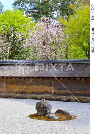 Stone garden of Ryoanji (spring) 46562384