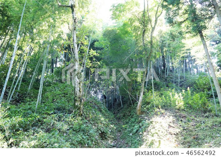 Masuyama城堡 46562492