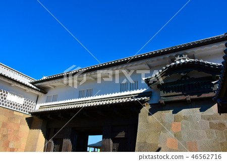 金澤城堡石川門Irisemon門 46562716