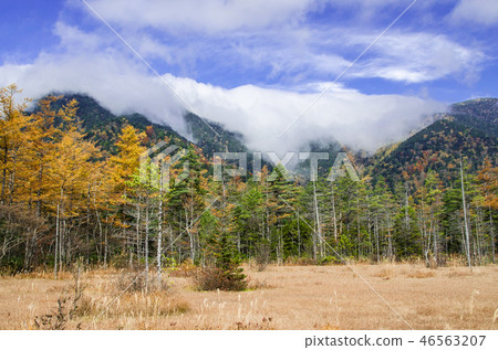 Kamikochi Tashiro pond 46563207