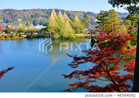 Kenrokuen Fall Kuragaike Karasaki Matsu Snow Hanging 46564092