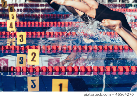 Swimming competition Swimming competition 46564270