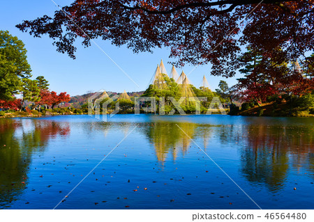 Fall colors of Karenzaki Matsuri autumn leaves of Kenrokuen Garden Fall colors of Karenzaki Matsuri autumn leaves of Kenrokuen Garden 46564480