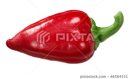 Gorria red chili pepper, paths Gorria red chili pepper, paths 46564531
