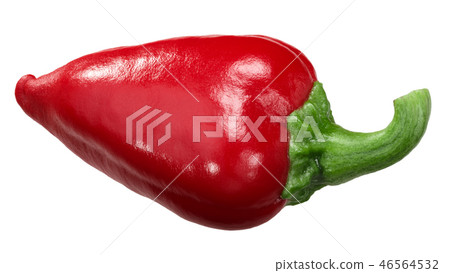 Gorria red chili pepper, paths Gorria red chili pepper, paths 46564532