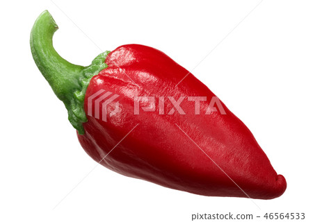 Gorria red chili pepper, paths Gorria red chili pepper, paths 46564533