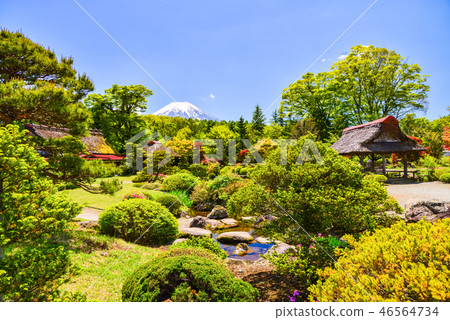 （山梨縣）從房子的花園看到的富士山 46564734