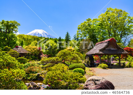 (Yamanashi Prefecture) Mt. Fuji seen from the garden of the house 46564736
