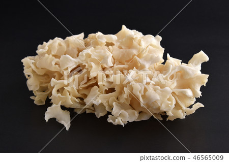 Mushroom (petal cake) Mushroom (petal cake) 46565009