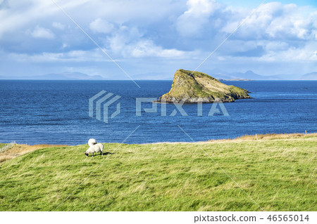 The Tulm Island, Duntulm Bay next to the castle ruins on the Isle of Skye - Scotland The Tulm Island, Duntulm Bay next to the castle ruins on the Isle of Skye - Scotland 46565014