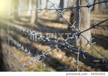 Barbed wire with battlefield background. Barbed wire with battlefield background. 46565091