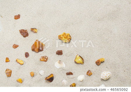 pieces of amber and shells on a sandy beach. pieces of amber and shells on a sandy beach. 46565092