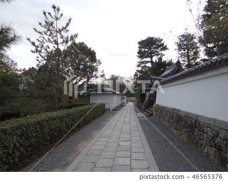 Road of Myoshinji, Shiranagi Road of Myoshinji, Shiranagi 46565376