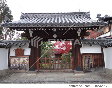 Myoshin寺塔頭 Myoshin寺塔頭 46565379