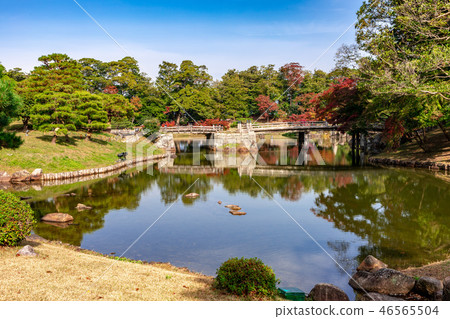Longan Bridge and Takahashi Genguen Autumn leaves 46565504