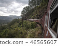 Train Sri Lanka 46565607