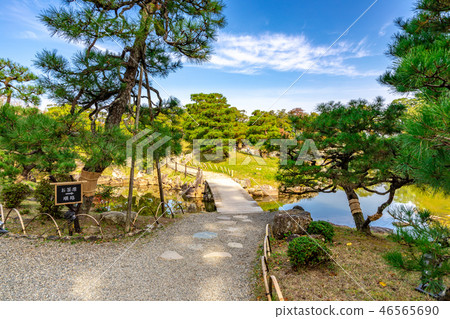 Autumn leaves of Kashiwabashi scenic spot garden Autumn leaves of Kashiwabashi scenic spot garden 46565690