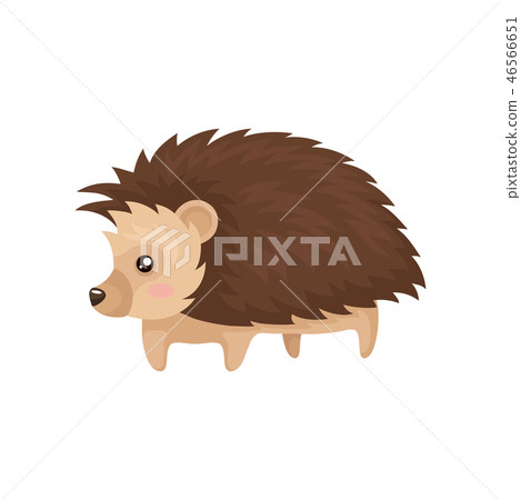 Lovely hedgehog prickly animal cartoon character vector Illustration on a white background Lovely hedgehog prickly animal cartoon character vector Illustration on a white background 46566651