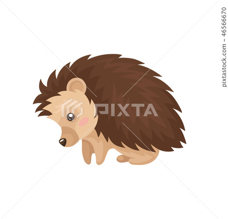 Cute hedgehog, lovely prickly animal cartoon character vector Illustration on a white background Cute hedgehog, lovely prickly animal cartoon character vector Illustration on a white background 46566670