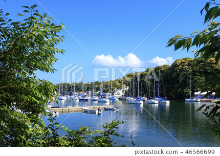 Small retail 46566699