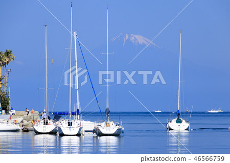 Miyoshi Miyoshi 46566759