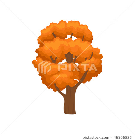 Huge tree with many branches and bright orange leaves. Element of forest, park or garden. Nature 46566825