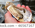 Single oyster Single oyster 46567167
