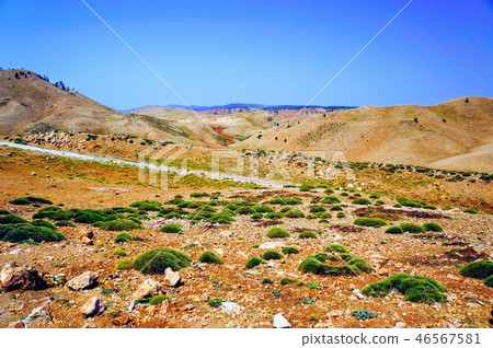 Sahara Desert 46567581