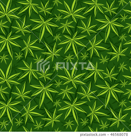 Cannabis, weed, marijuana leaves vector seamless pattern 46568078
