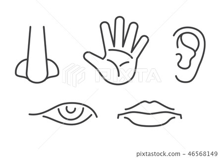 Five senses vector icons set isolated white 46568149