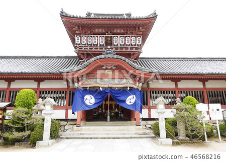 Ehime Ehime 46568216