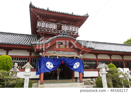 Ehime Ehime 46568217