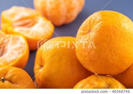 橘水水果食品靛藍背景橘紅色背景 46568748
